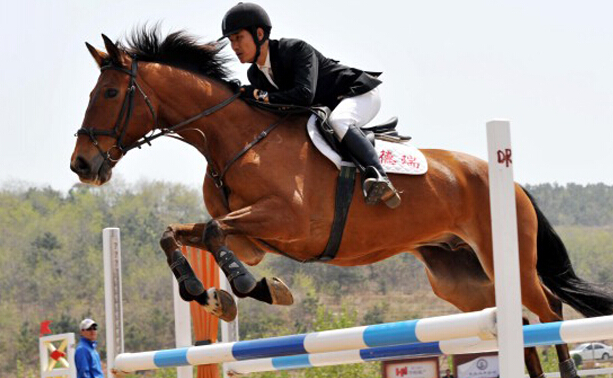 南京先鋒速記為南京青奧會馬術(shù)場館和賽事發(fā)布會提供速記